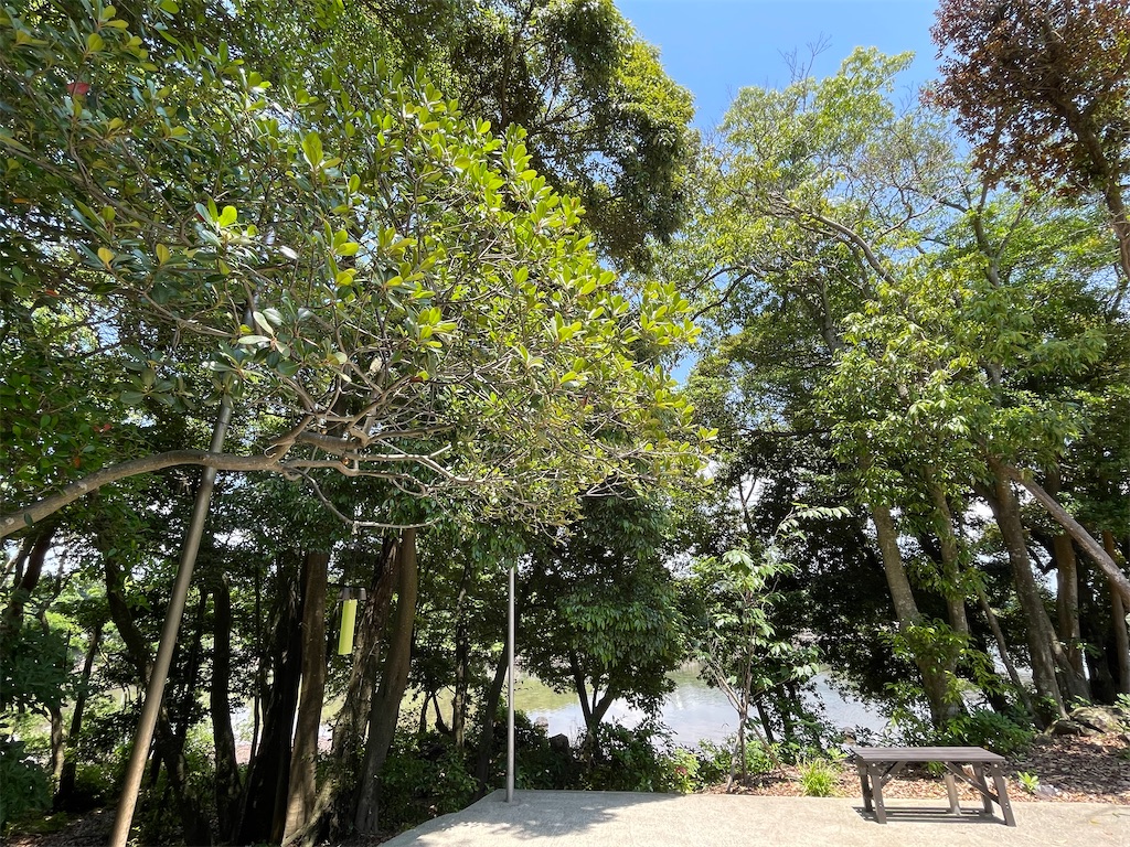 f:id:nagatsukiperu:20240605215646j:image