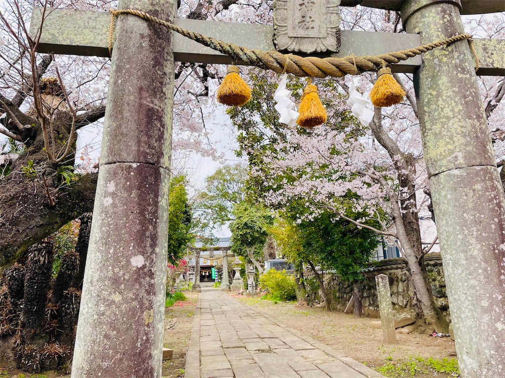 f:id:nagatsukiperu:20250402172744j:image