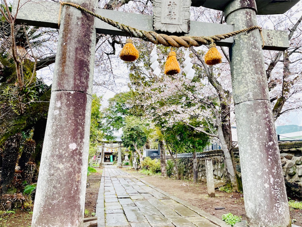 f:id:nagatsukiperu:20260401154936j:image