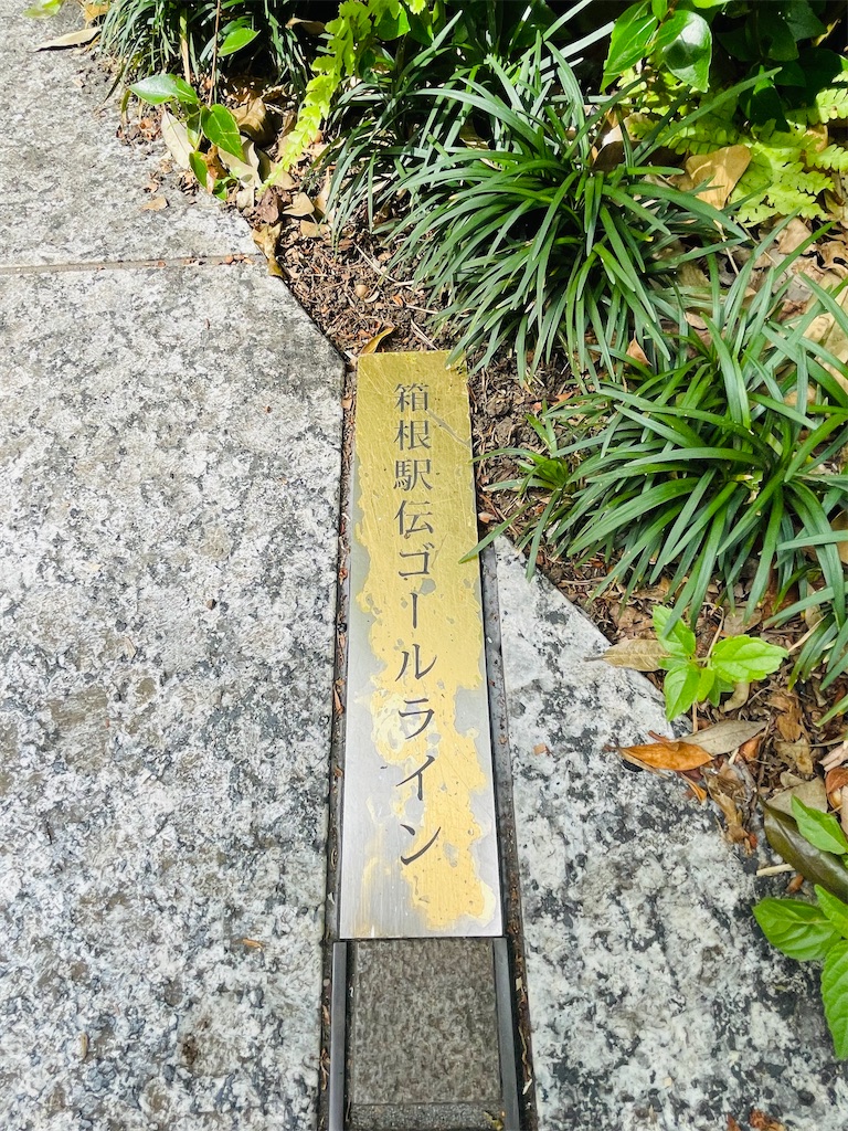 f:id:nagatsukiperu:20260607094058j:image