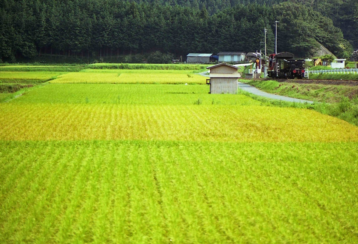 f:id:nagee4678:20081117150131j:plain f:id:nagee4678:20081117150131j:plain