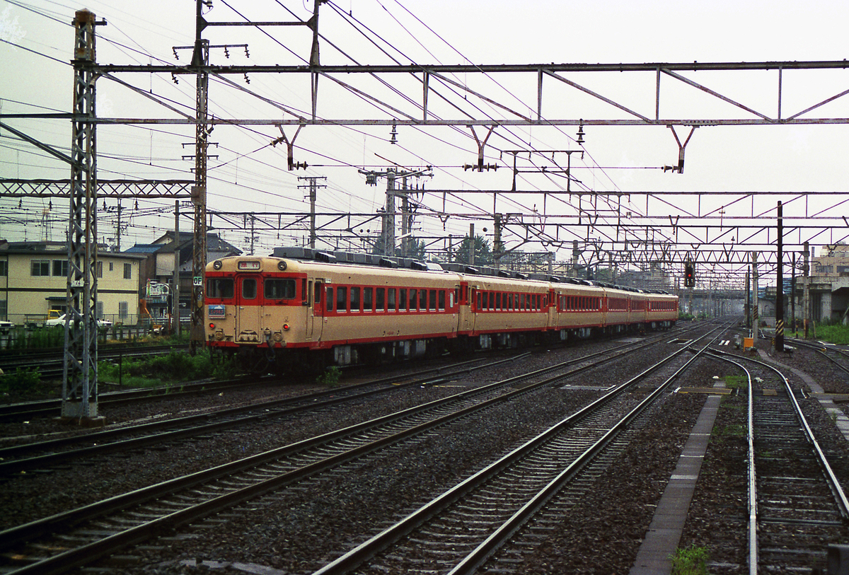 美しき急行列車 - 鉄道も、写真も、ネコも、奥が深いのです！ ナゲーのよっこらSHOT