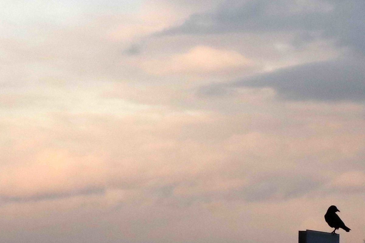 f:id:nagee4678:20191231114353j:plain f:id:nagee4678:20191231114353j:plain