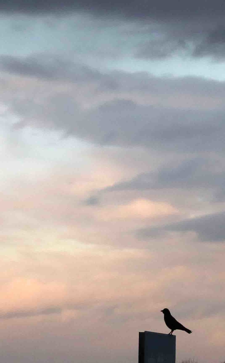 f:id:nagee4678:20191231114441j:plain f:id:nagee4678:20191231114441j:plain