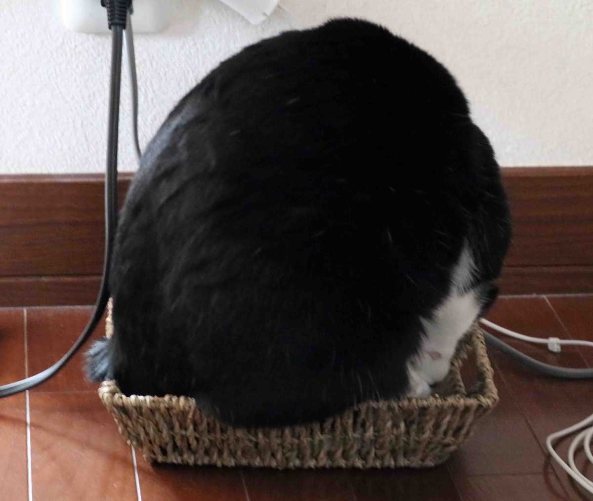 f:id:nagee4678:20200109230348j:plain f:id:nagee4678:20200109230348j:plain