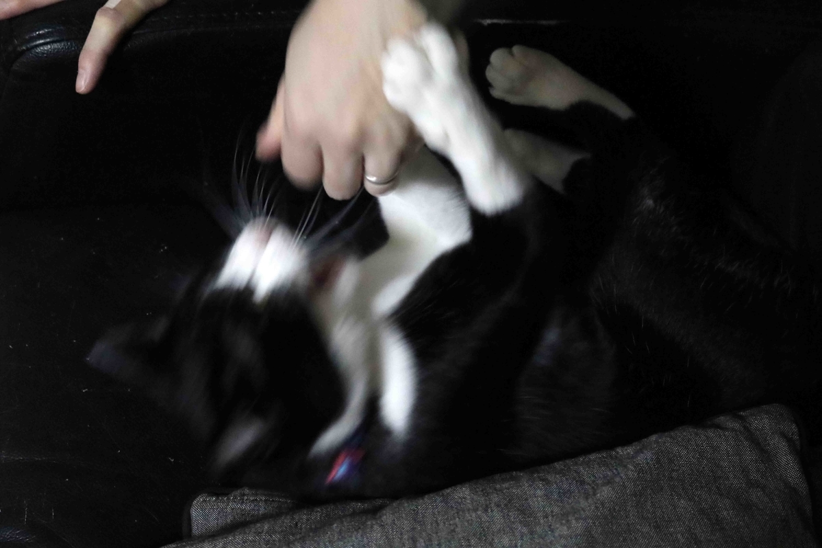 f:id:nagee4678:20200221193020j:plain f:id:nagee4678:20200221193020j:plain