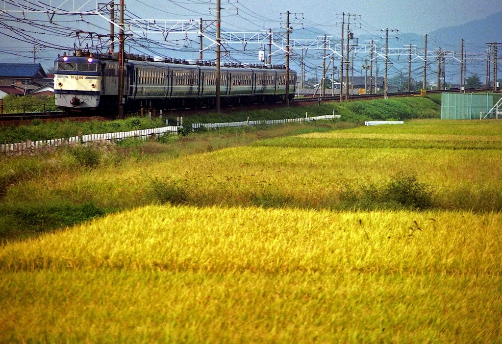 f:id:nagee4678:20200227160358j:plain