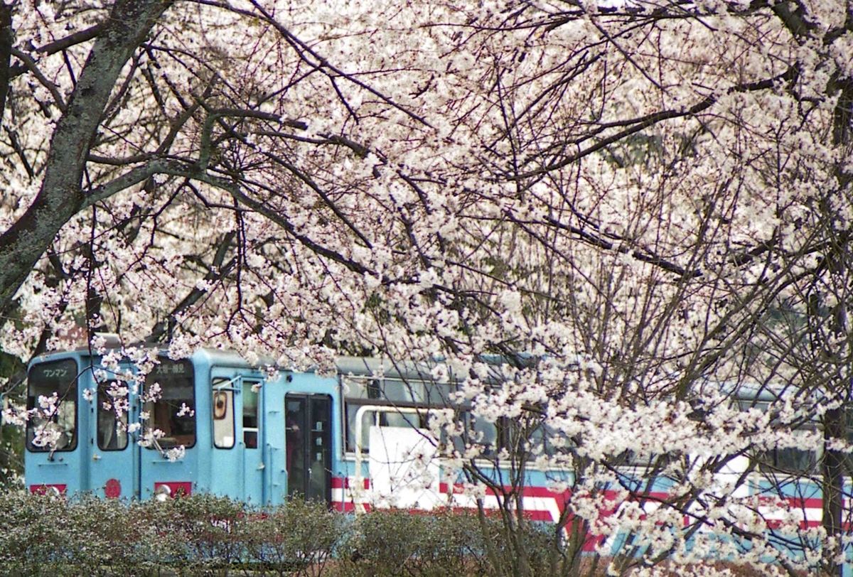 f:id:nagee4678:20200329153236j:plain f:id:nagee4678:20200329153236j:plain