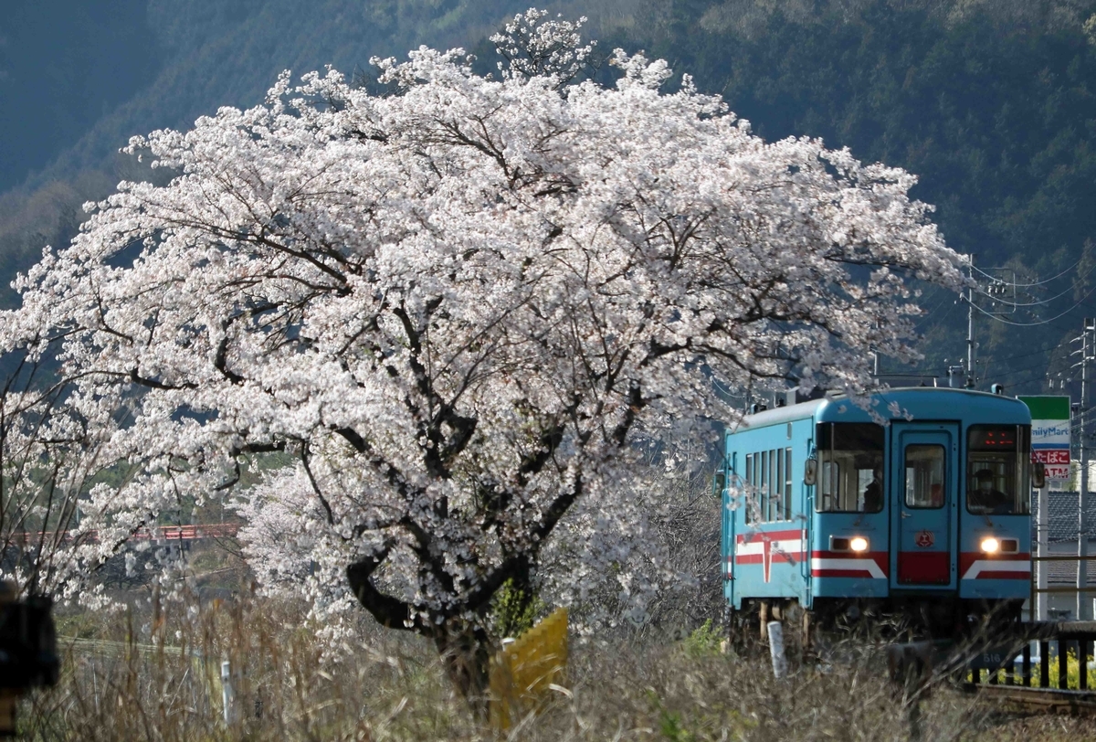 f:id:nagee4678:20200417173942j:plain f:id:nagee4678:20200417173942j:plain