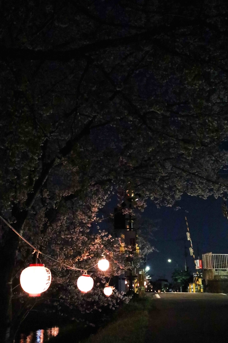 f:id:nagee4678:20200418133758j:plain