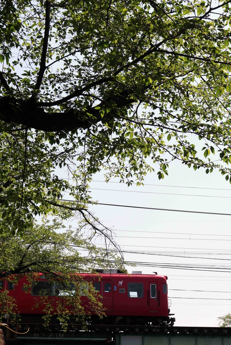 f:id:nagee4678:20200503135549j:plain