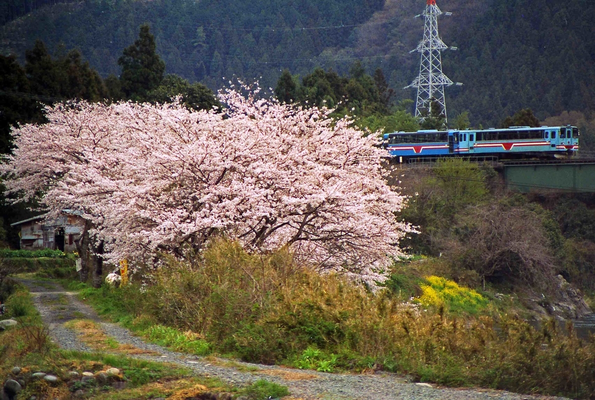 f:id:nagee4678:20200607134437j:plain f:id:nagee4678:20200607134437j:plain