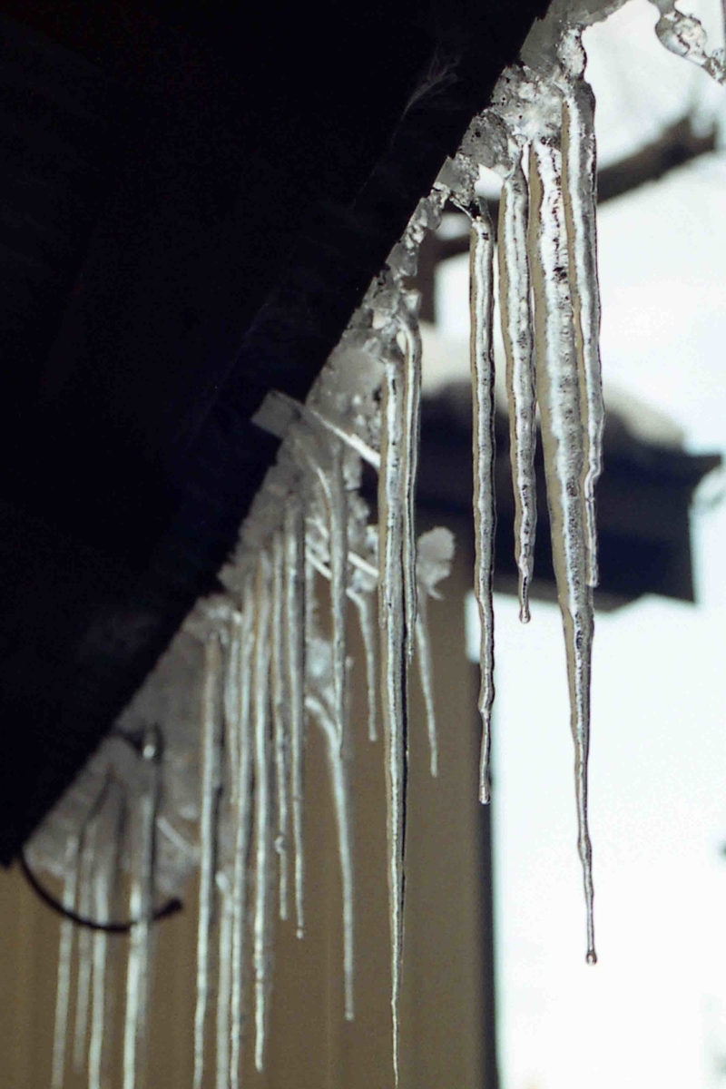 f:id:nagee4678:20200710212403j:plain f:id:nagee4678:20200710212403j:plain