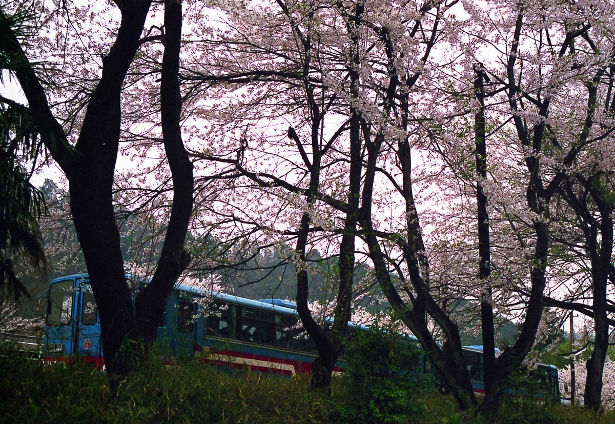 f:id:nagee4678:20200712092059j:plain