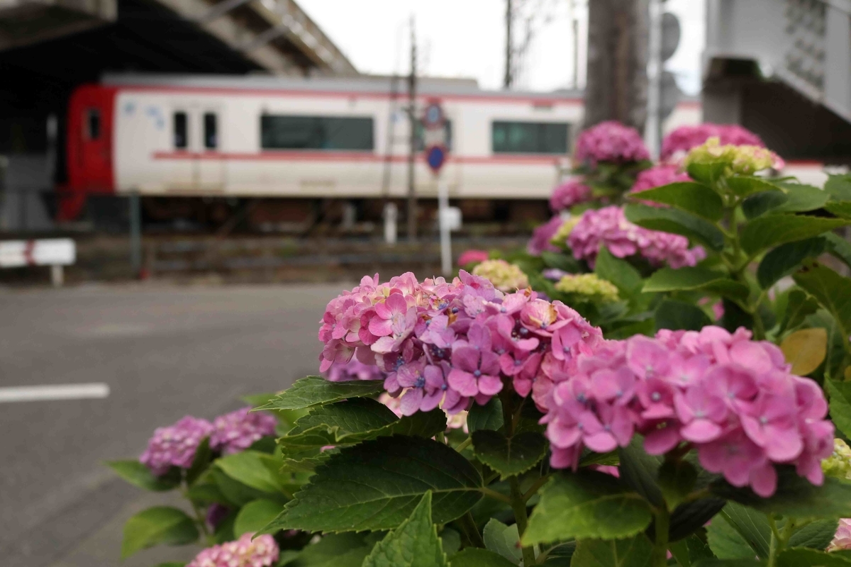 f:id:nagee4678:20200719151640j:plain