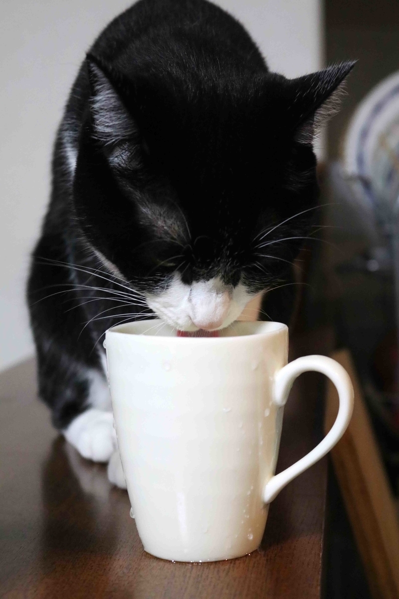 f:id:nagee4678:20200719152852j:plain