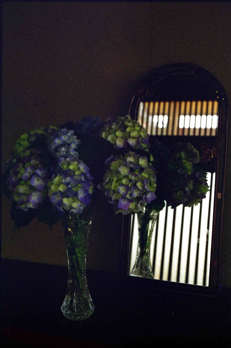f:id:nagee4678:20200822193826j:plain f:id:nagee4678:20200822193826j:plain