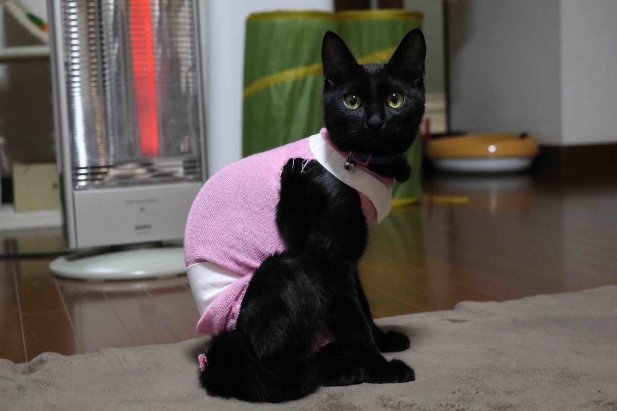 f:id:nagee4678:20201112211230j:plain