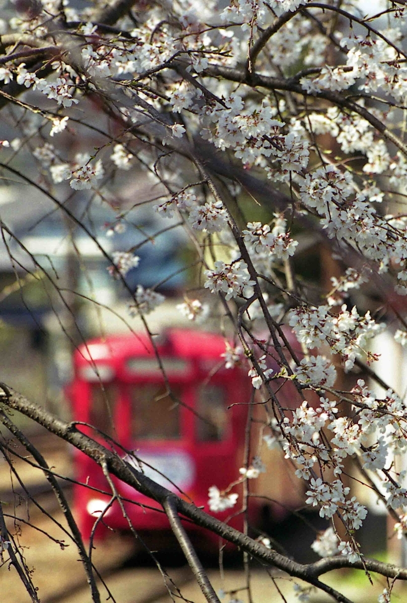 f:id:nagee4678:20201210210725j:plain
