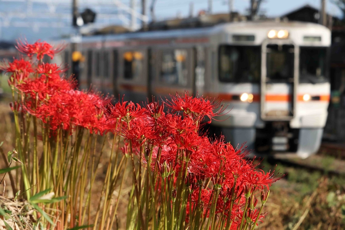 f:id:nagee4678:20201214175808j:plain