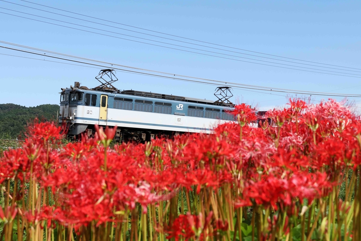 f:id:nagee4678:20201214180206j:plain