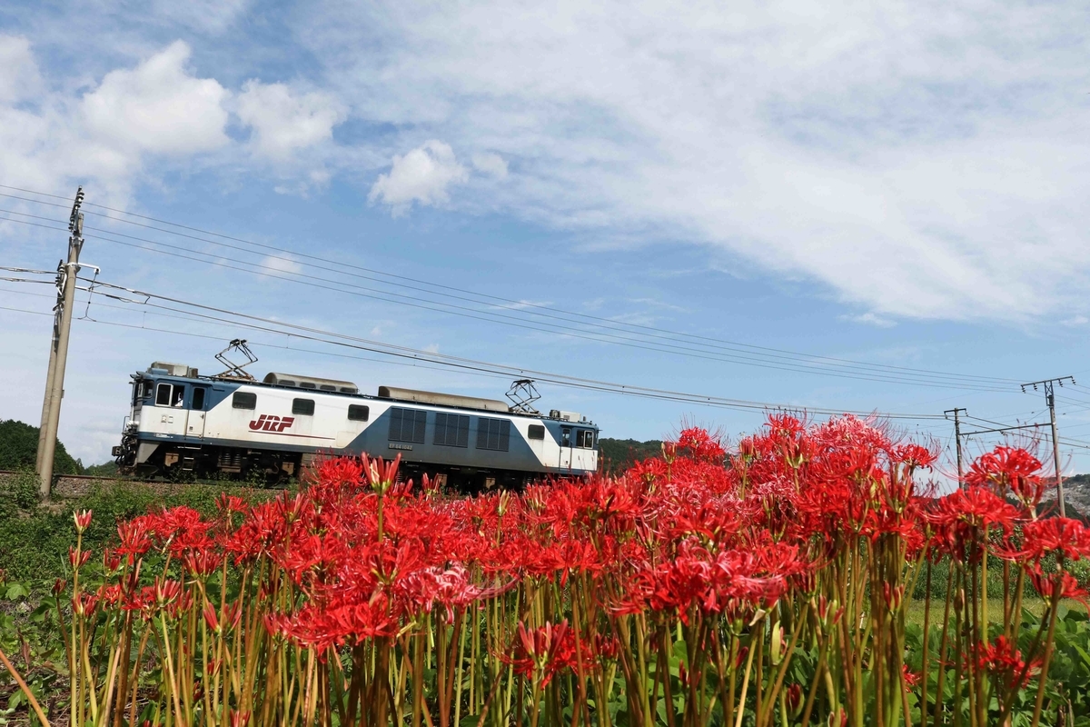 f:id:nagee4678:20201214180233j:plain