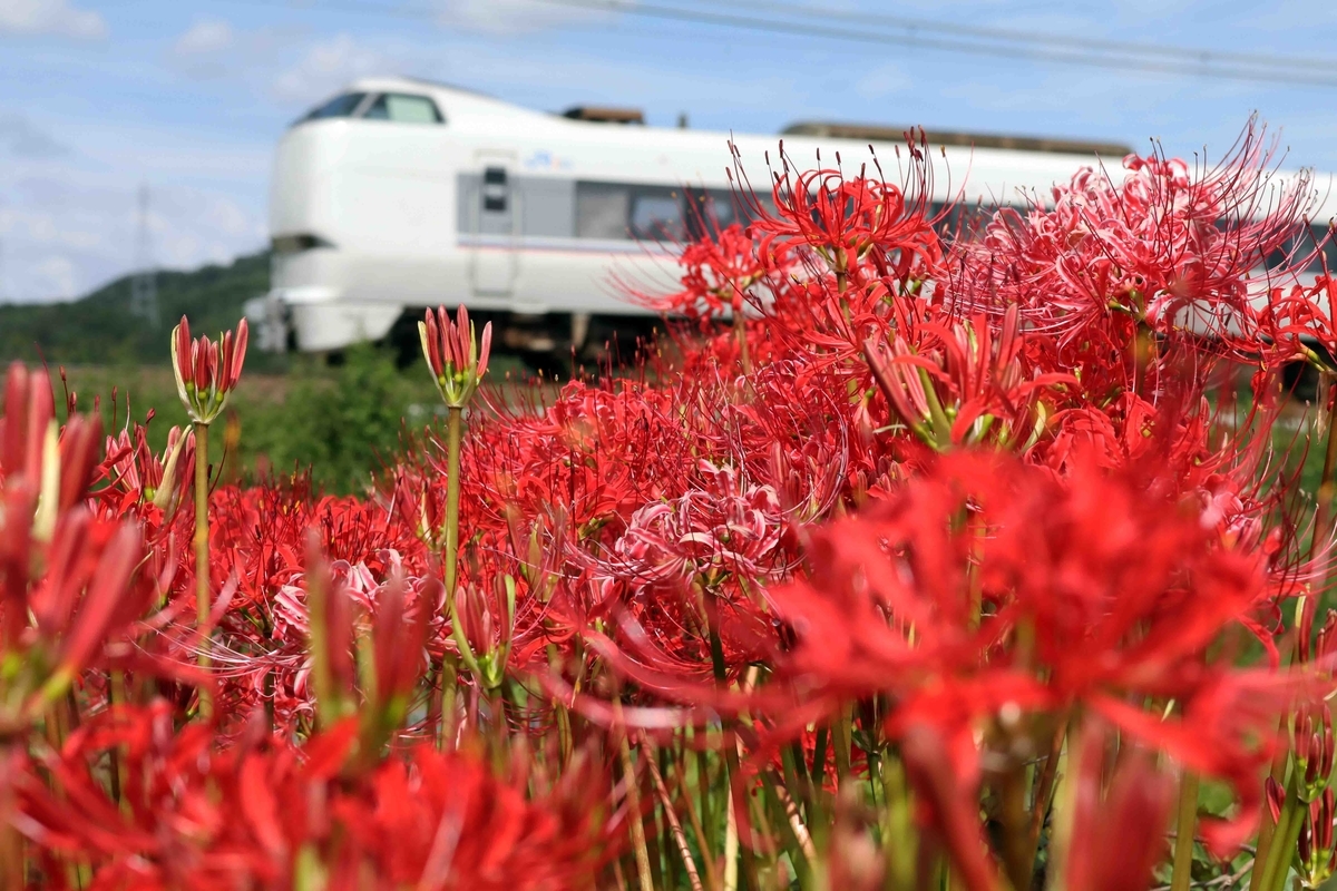 f:id:nagee4678:20201214180345j:plain