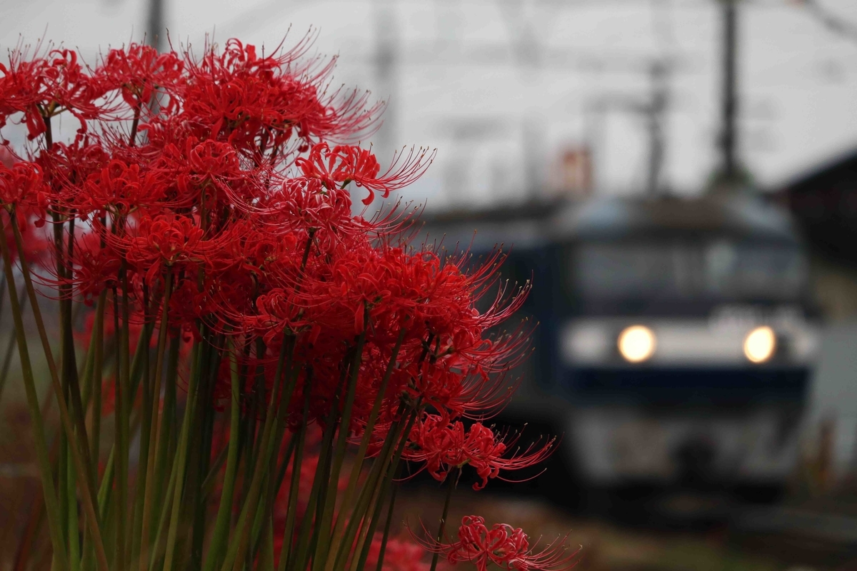 f:id:nagee4678:20201214181331j:plain