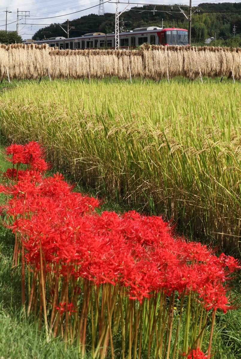 f:id:nagee4678:20201214182116j:plain