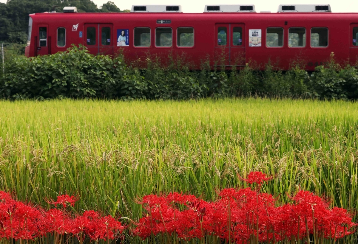 f:id:nagee4678:20201214182404j:plain