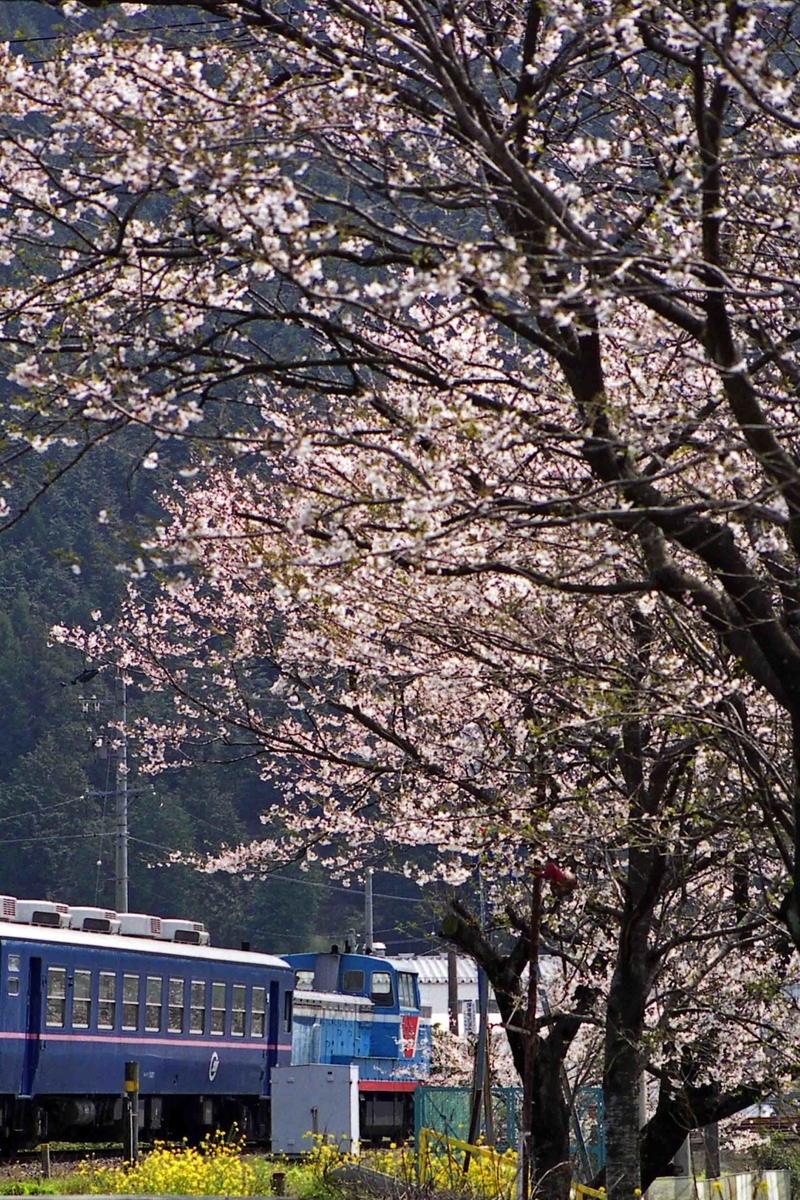 f:id:nagee4678:20201219184800j:plain