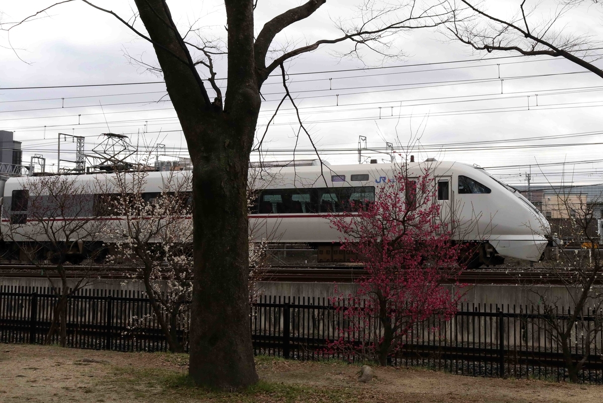 f:id:nagee4678:20210320152431j:plain