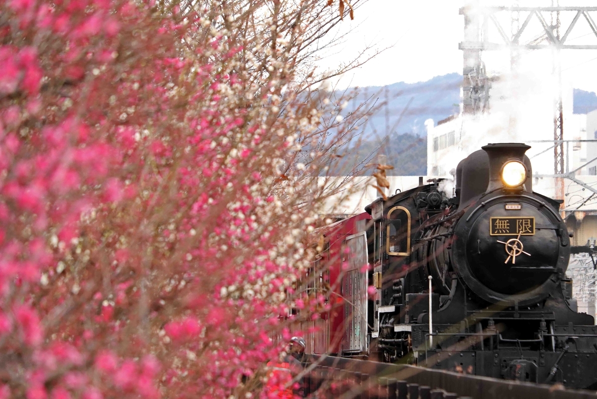 f:id:nagee4678:20210320154107j:plain