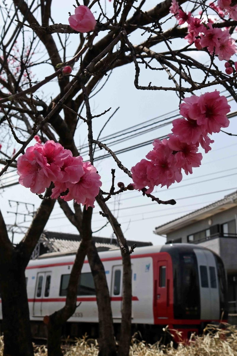 f:id:nagee4678:20210414182843j:plain