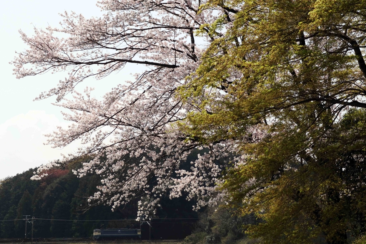 f:id:nagee4678:20210416204758j:plain