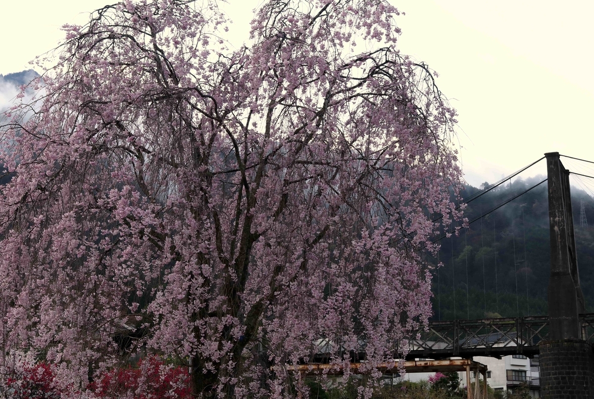 f:id:nagee4678:20210417221844j:plain