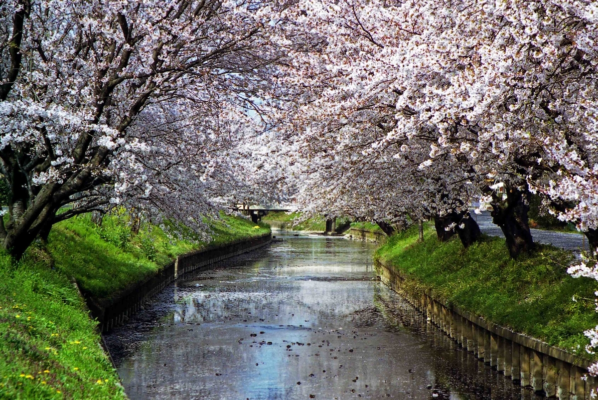 f:id:nagee4678:20210520175532j:plain