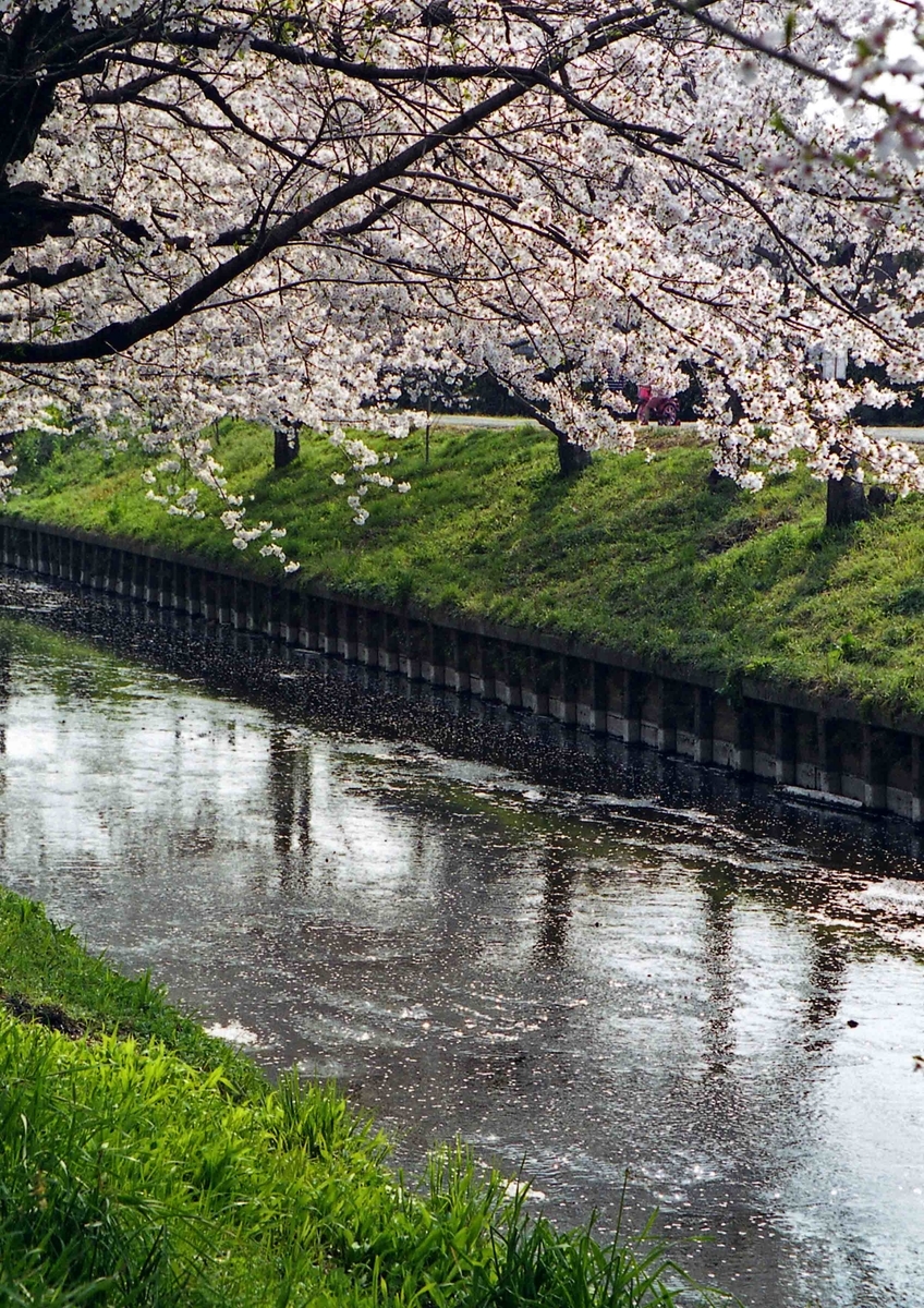 f:id:nagee4678:20210520175653j:plain