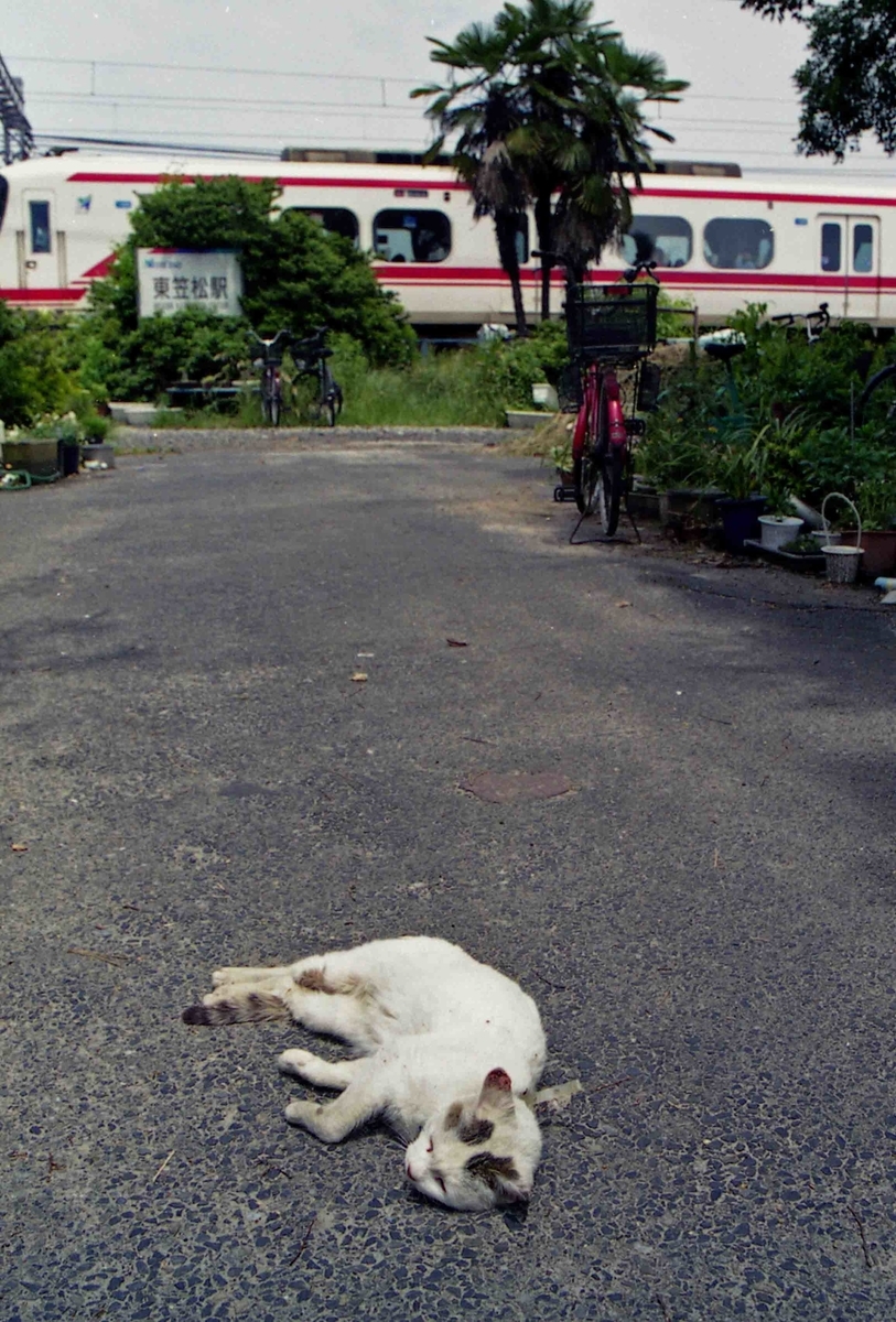 f:id:nagee4678:20210520184530j:plain