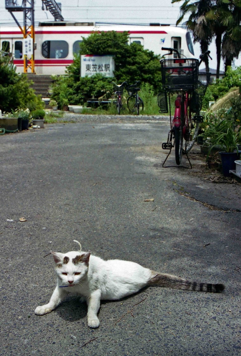 f:id:nagee4678:20210520184715j:plain