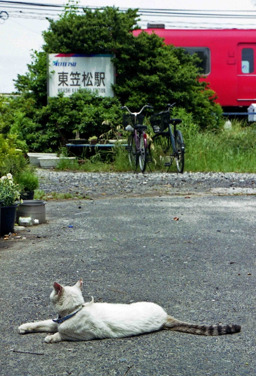 f:id:nagee4678:20210520184800j:plain