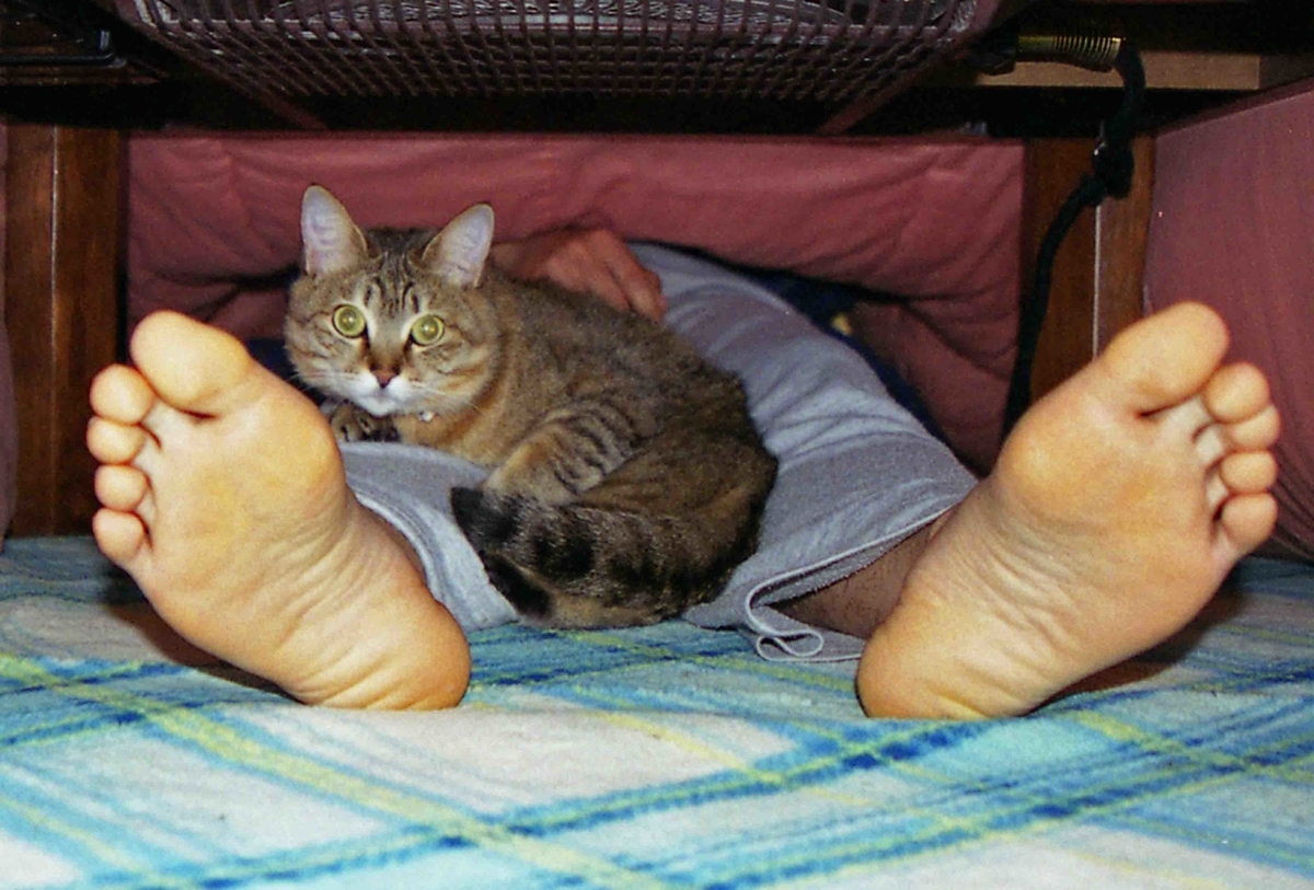 f:id:nagee4678:20210520195335j:plain