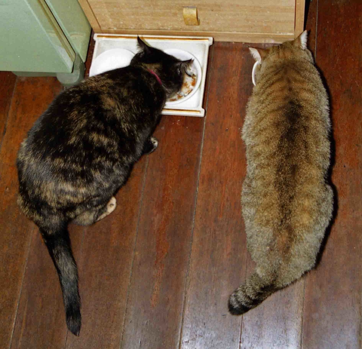 f:id:nagee4678:20210725155724j:plain