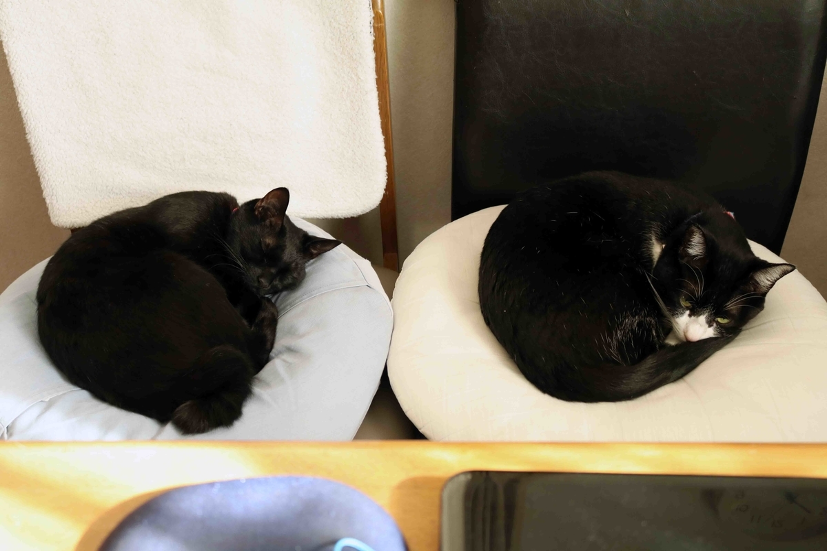 f:id:nagee4678:20210925235111j:plain