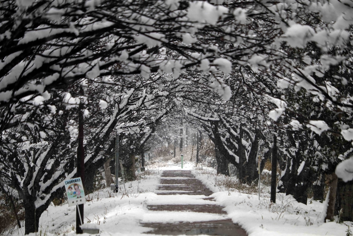 f:id:nagee4678:20220104132930j:plain