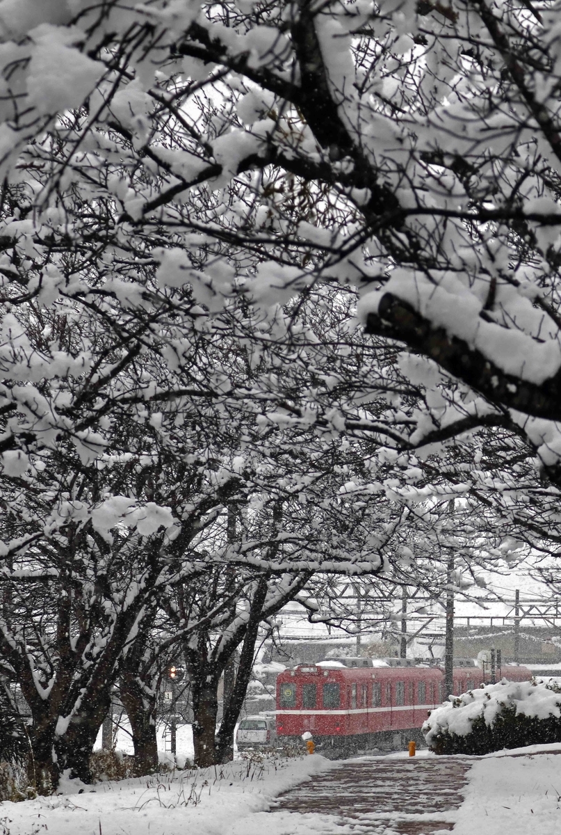 f:id:nagee4678:20220104133146j:plain