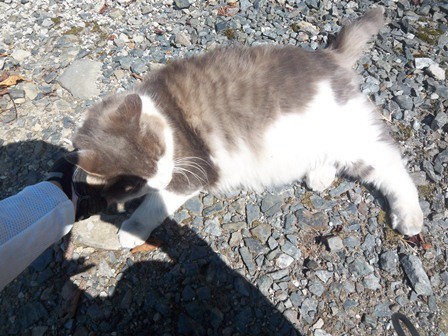 f:id:nagino:20110929115309j:image f:id:nagino:20110929115309j:image