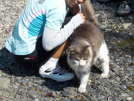 f:id:nagino:20110929115826j:image f:id:nagino:20110929115826j:image