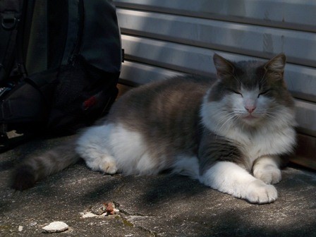 f:id:nagino:20110929120632j:image f:id:nagino:20110929120632j:image