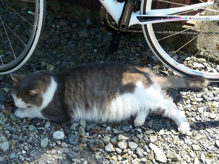 f:id:nagino:20110929120954j:image f:id:nagino:20110929120954j:image